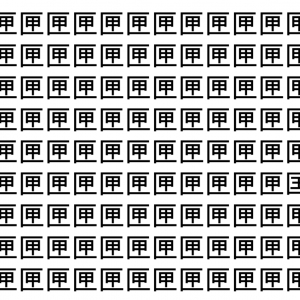 【脳トレ】「匣」の中に紛れて1つ違う文字がある！？あなたは何秒で探し出せるかな？？【違う文字を探せ！】