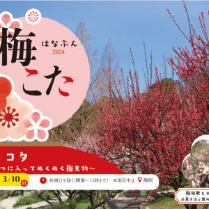コタツに入ってぬくぬく梅見物！大阪府立花の文化園で「梅コタ」2月14日より開催