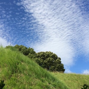 魚の鱗を思わせる「うろこ雲」が空に見えるのはどの季節？