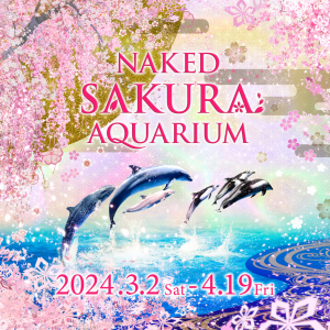 マクセル アクアパーク品川、桜のデジタルアートで彩る海のお花見！春季限定イベント「NAKED SAKURA AQUARIUM」3月2日より開催