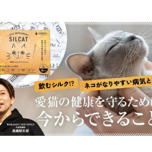 飲むシルクを用いた猫用腎臓ケアサプリメント、発売1ヶ月で35万食オーダー受注