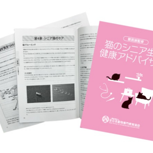 猫に関する資格が取得できる「ねこプロ専攻」がさらに飛躍！「アドバンスコース」開講