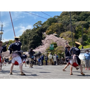 【大分県】佐伯市に春の訪れを告げる「さいき桜まつり」開催。ステージイベントやライトアップも