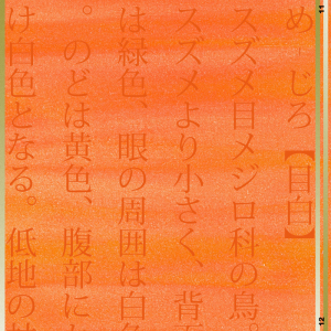 志摩陽立、アコースティックな新SG「メジロ」リリース