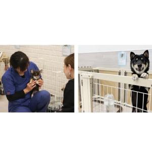 【栃木県日光市】「ペットケア＆アダプションセンター日光」にて「第2回 犬猫里親譲渡会」を開催