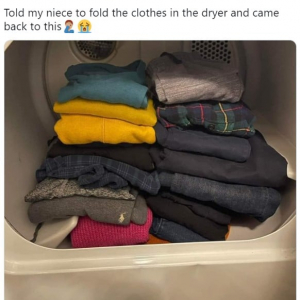 姪っ子に衣類乾燥機の中の服を畳んでおいてと頼んだ結果 「なにかご不満でも？」「抗議の意思表示」