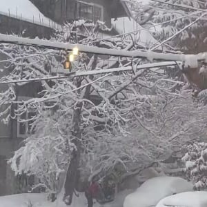 リスが雪かきしてくれている？雪の積もった電線をリスが走り回ると・・【海外・動画】