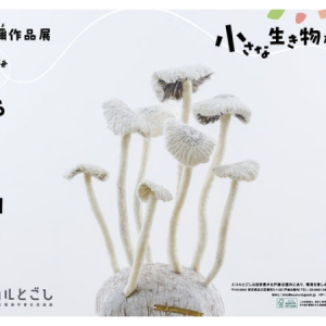 【東京都品川区】山本彌作品展「小さな生き物たちの大きな世界」開催。ワークショップも