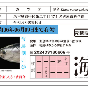 【愛知県名古屋市】「魚の免許証風割引カード」など。特別展「海 ―生命のみなもと―」オリジナルグッズ