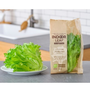 新ブランド「INDOOR」から、お得で手軽な大株レタス「INDOOR LEAF」登場！