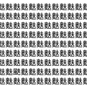 【脳トレ】「麩」の中に紛れて1つ違う文字がある！？あなたは何秒で探し出せるかな？？【違う文字を探せ！】