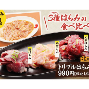 「焼肉冷麺やまなか家」が限定おすすめメニューを販売中。盛り皿からデザートまで！