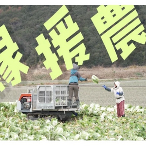 兵庫県淡路島で農業労働力支援の現場に密着。日本農業新聞がJA全農と連携し動画を公開