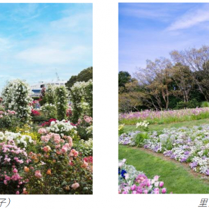 横浜で咲き誇る花々を楽しむ「ガーデンネックレス横浜2024」3月23日より開催！新たな日本最大級の園芸イベントの開催や花グルメも登場