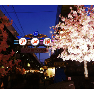 【東京 上野】“アメ横さくら祭り2024”開催中！桜の展示やクーポン配布、ライブペインティングも