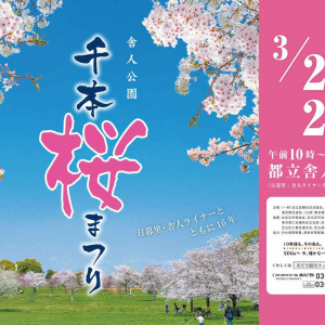 東京都足立区・舎人公園で1,000本の桜を満喫！「舎人公園千本桜まつり」3月23・24日に開催