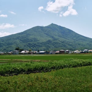 【茨城県旧明野町(筑西市)】南に佇む筑波山と、水田の風景を進む