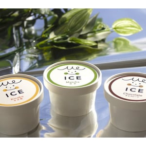 シニア向け完全栄養食アイス「Me ICE」発売。33種類の栄養素をバランスよく摂取できる