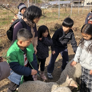 【岡山県倉敷市】こうのさとが「竹林のスコレー」を拡張し公園を建設するためのクラファンを実施！