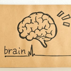 何歳になっても能力を伸ばしたい人が知っておくべき「脳の8つの番地」