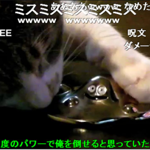 猫 VS. はぐれメタルのバトル動画が人気！ もうすぐ再生数40万回！