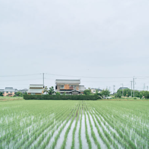 【茨城県旧谷和原村(つくばみらい市)】昔ながらの暮らしと、人の温かさに触れる