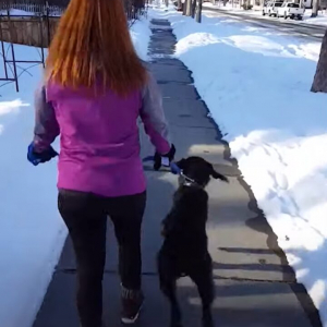 まるでカンガルー？おさんぽ中の愛犬がピョン！もう一度ピョンっとジャンプ！！