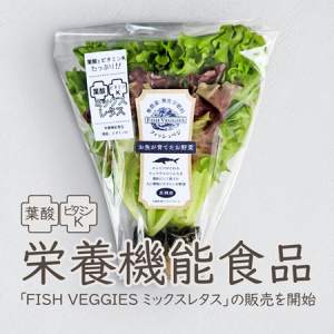 アクアポニックスで栽培した栄養機能食品「FISH VEGGIES ミックスレタス」発売！