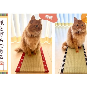 「お猫様専用ミニ畳」が、滑り止め機能を強化！フローリングでより使いやすく