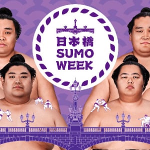 COREDO室町 コレドのG.W.「日本橋 SUMO WEEK FES」5/12まで開催中！ 大相撲の世界を多彩に体感、グルメ大盛りフェアも注目