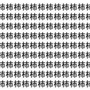 【脳トレ】「杮」の中に紛れて1つ違う文字がある！？あなたは何秒で探し出せるかな？？【違う文字を探せ！】