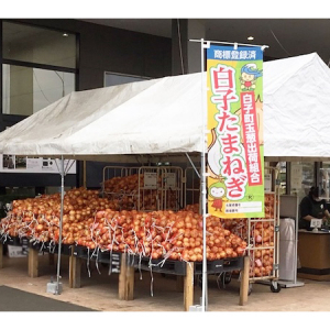 カインズの「くみまちマルシェ」で、千葉県白子町産の新たまねぎを無選別にて販売！