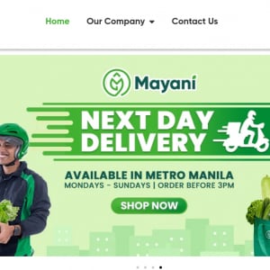 B級野菜も販売するフィリピンの農業流通スタートアップMayani、日系飲食チェーン店とも協力