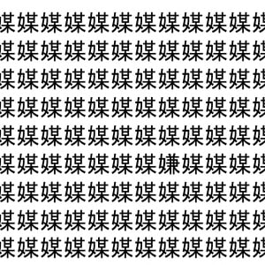 【脳トレ】「媒」の中に紛れて1つ違う文字がある！？あなたは何秒で探し出せるかな？？【違う文字を探せ！】