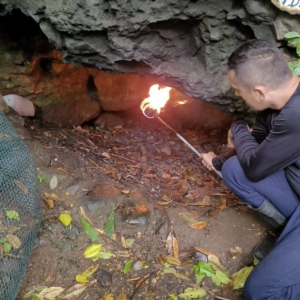 自然の不思議。コスタリカの『死の洞窟』では灯された松明が・・！！【海外・動画】