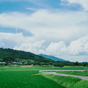 【茨城県旧八郷町(石岡市)】「にほんの里100選」にも選ばれた、里山の風景を感じながら