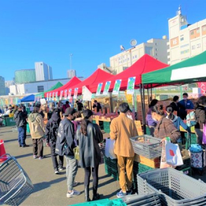 横浜市場場外マルシェ「春の味覚フェス」開催！新鮮な市場食材に市場見学ツアーなども
