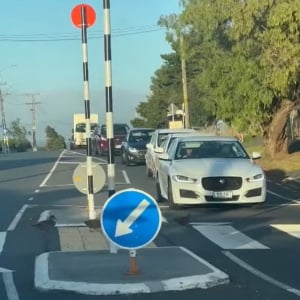 無人の横断歩道の手前で車が止まった理由にほっこり。アヒルの家族が並んで横断中！！【海外・動画】