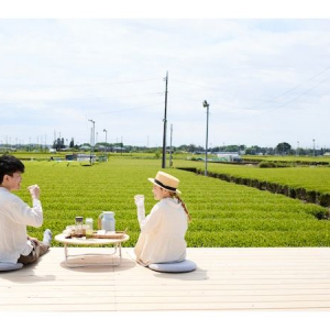 【埼玉県入間市】狭山茶＆絶景を五感で味わう「茶畑テラス」の楽しみ方を紹介！新緑の季節の行楽に