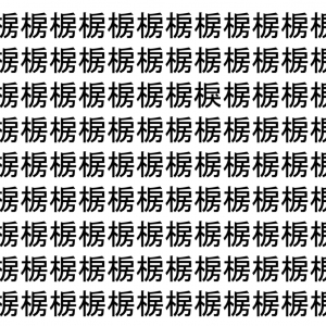 【脳トレ】「椖」の中に紛れて1つ違う文字がある！？あなたは何秒で探し出せるかな？？【違う文字を探せ！】