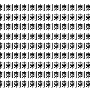 【脳トレ】「剌」の中に紛れて1つ違う文字がある！？あなたは何秒で探し出せるかな？？【違う文字を探せ！】