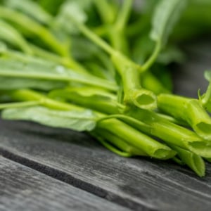 中華料理で見かける「空芯菜」とはどんな野菜？その旬や原産地について解説！！危険な食べ物だったりするの？