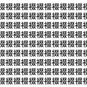 【脳トレ】「裰」の中に紛れて1つ違う文字がある！？あなたは何秒で探し出せるかな？？【違う文字を探せ！】