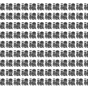 【脳トレ】「禯」の中に紛れて1つ違う文字がある！？あなたは何秒で探し出せるかな？？【違う文字を探せ！】