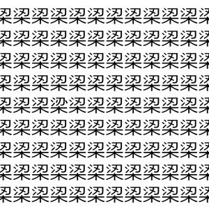 【脳トレ】「鿄」の中に紛れて1つ違う文字がある！？あなたは何秒で探し出せるかな？？【違う文字を探せ！】
