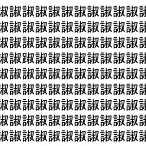 【脳トレ】「諔」の中に紛れて1つ違う文字がある！？あなたは何秒で探し出せるかな？？【違う文字を探せ！】