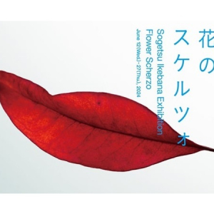 【東京都港区】初夏の瑞々しい季節を彩る！いけばな草月流の草月いけばな展「花のスケルツォ」開催