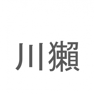 【読めたらスゴイ！】「川獺」とは一体何のこと！？とても愛らしい外見のある動物のことですが・・！この漢字を読めますか？