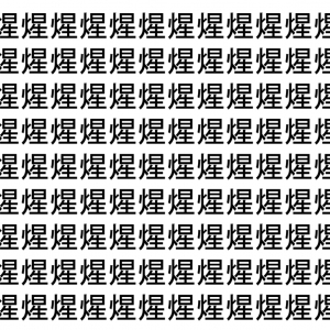 【脳トレ】「煋」の中に紛れて1つ違う文字がある！？あなたは何秒で探し出せるかな？？【違う文字を探せ！】