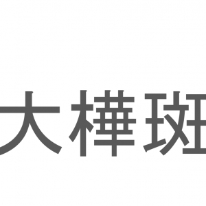 【読めたらスゴイ！】「大樺斑」とは一体何のこと！？鮮やかな羽を持つ生き物を指すこの漢字を読めますか？